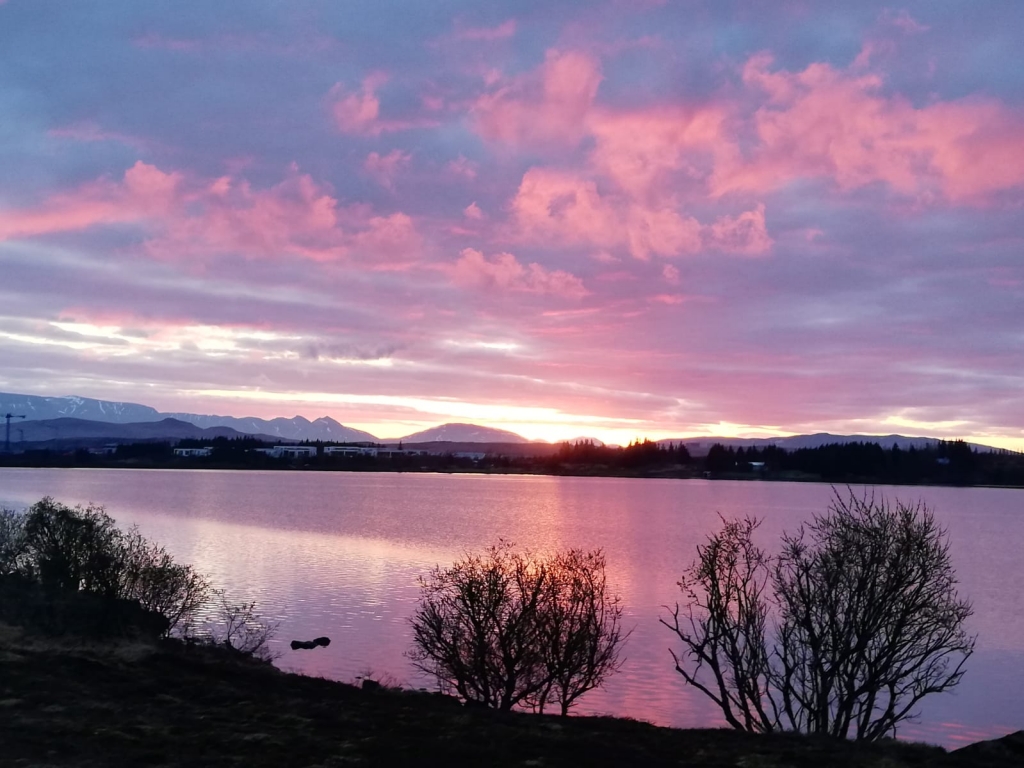 Iceland (205a)